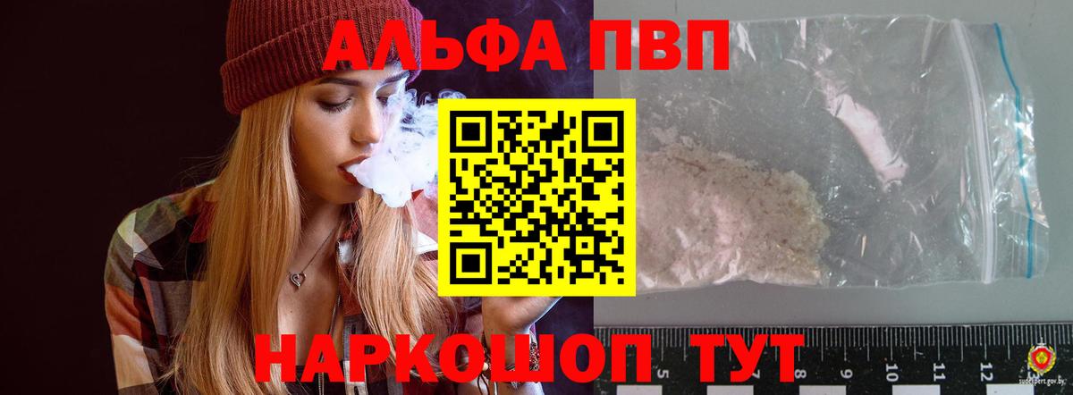 Alfa_PVP СК КРИС Губкин