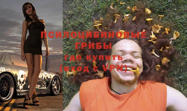стафф Усмань
