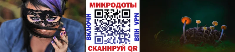 Псилоцибиновые грибы мицелий  Губкин 