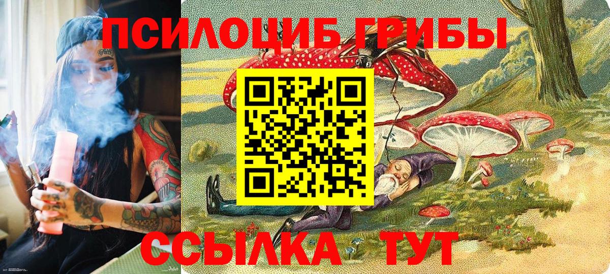 Псилоцибиновые грибы Magic Shrooms  хочу наркоту  Галлюциногенные грибы GOLDEN TEACHER  Губкин 