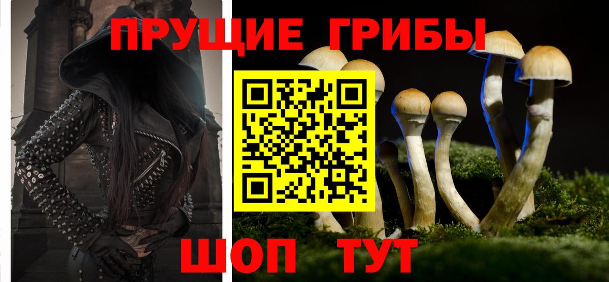 БУТИРАТ Губкин