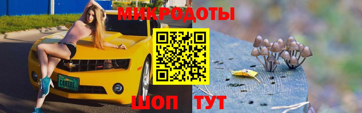 Псилоцибиновые грибы Psilocybe Губкин